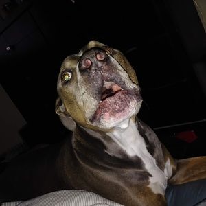 Meet your Posher, You know